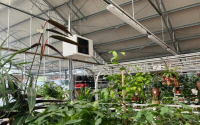 La maîtrise des températures dans les jardineries